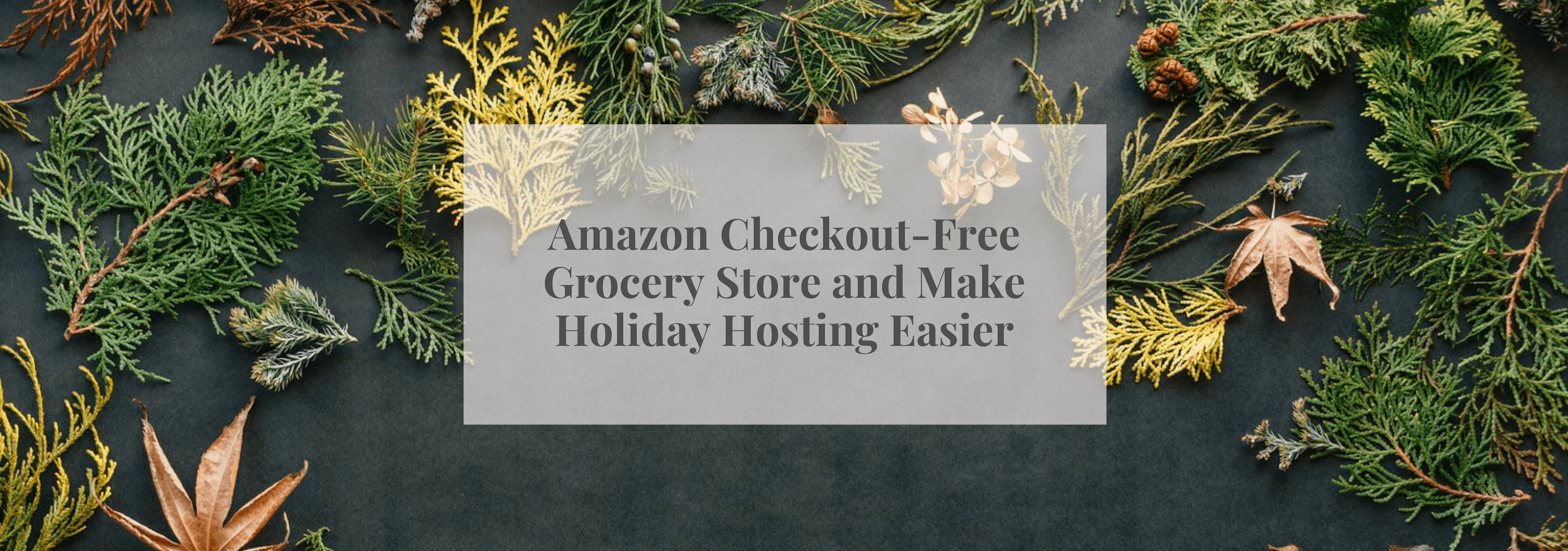 Amazon Checkout-Free Grocery Store and Make Holiday Hosting Easier - Numi