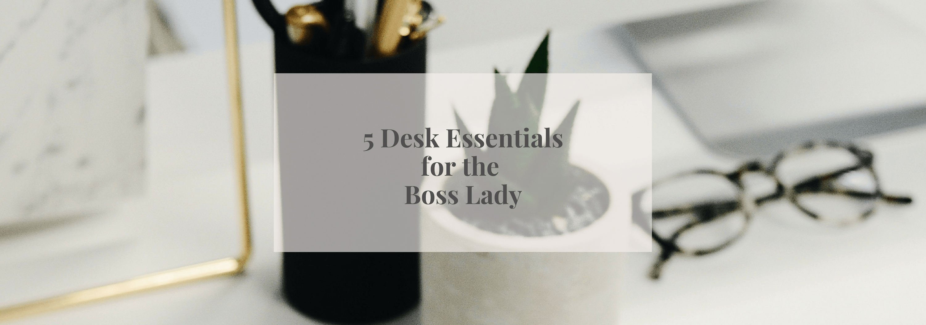 Five Desk Essentials - Numi