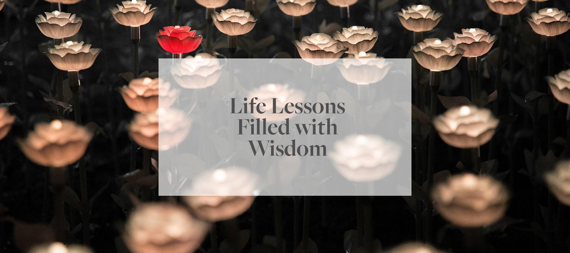 Life Lessons Filled With Wisdom - Numi